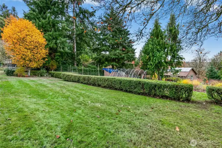 Lower terace of yard to garden