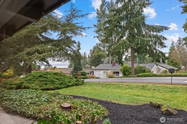 View from Primary Bedroom