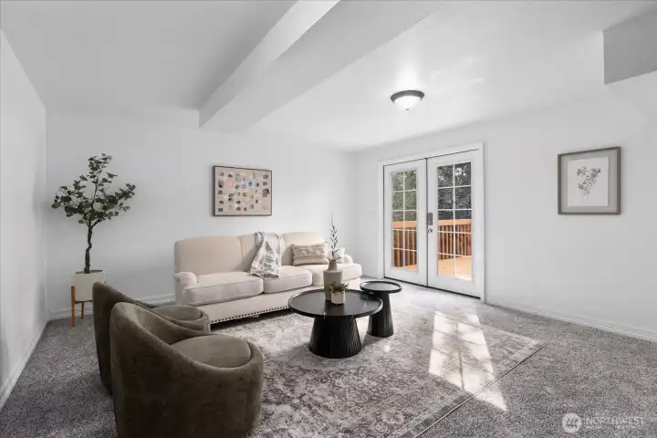 Lower level living room.