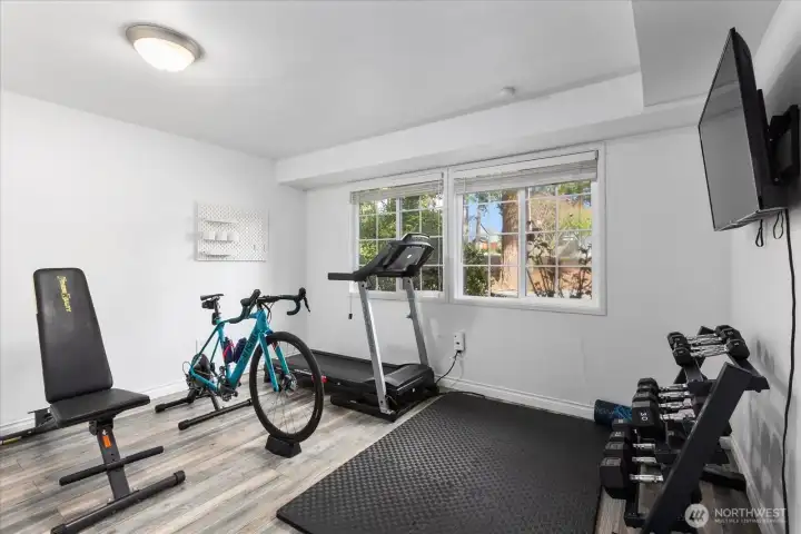 Lower level bedroom 2