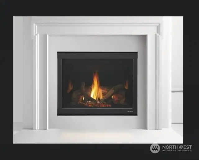 Heat-N-Glo SL Fireplace
