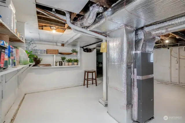 Basement w/ plenty of headroom to add more square footage to the home