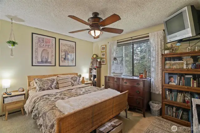 Large bedroom at the end of the hall, will easily hold a king-sized bed (shown here with a queen) and has full sized closet.