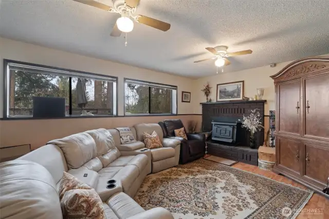 Large downstairs bonus room with fireplace and under-stairs access. in the heat of the summer, this room stays cool!