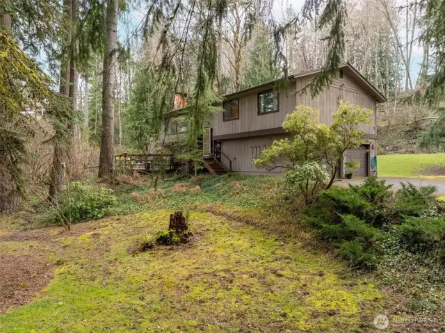 Front yard with well established landscaping given somewhat over to nature but still easily brought back to its former glory with a little sweat equity.