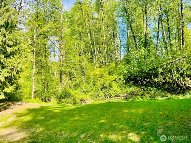 This entire area of trees gets so green and full that you cannot see through to the houses on top of the hill. The hill behind this tree line is steep and unutilized, giving this property a greenbelt with the feeling of much more land than it actually is.