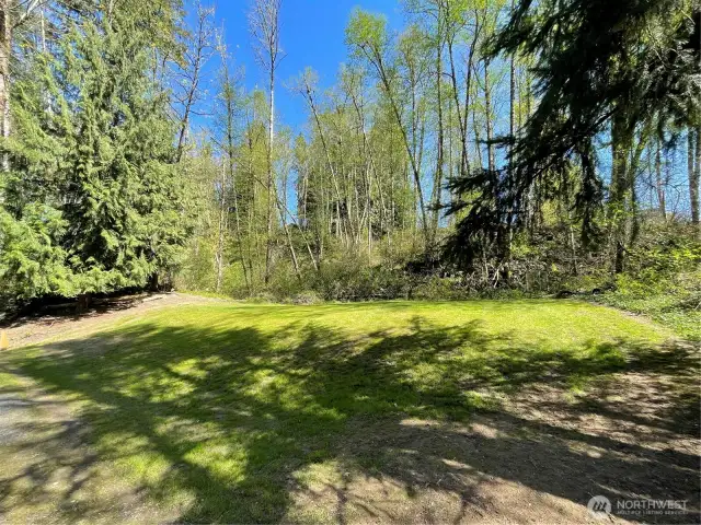 This entire area of trees gets so green and full that you cannot see through to the houses on top of the hill. The hill is steep and unutilized, giving this property the feeling of much more land than it actually is.