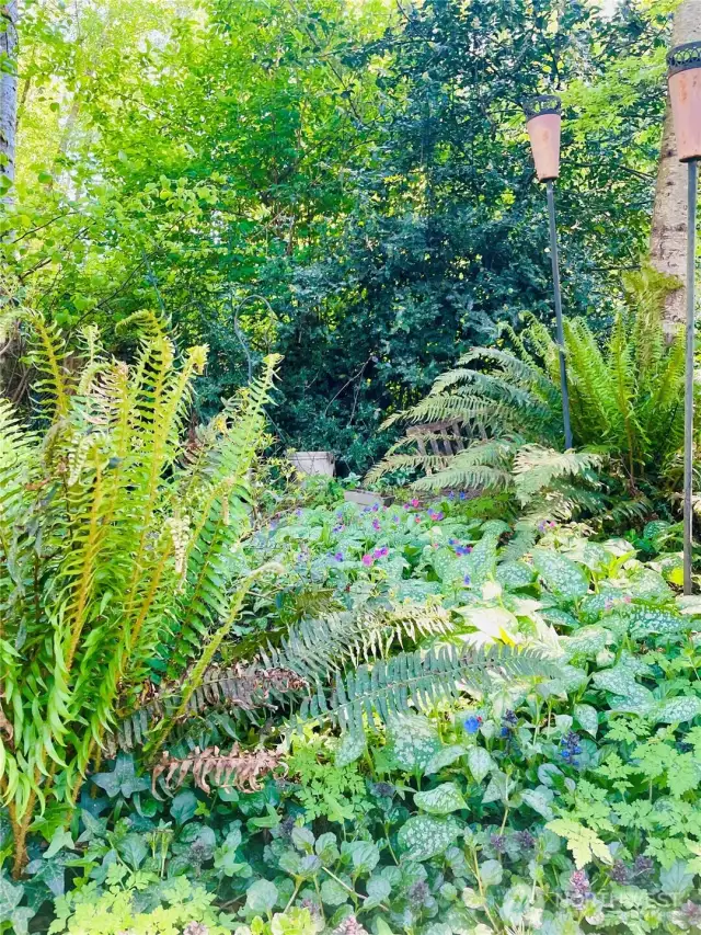 The natural landscaping can be left wildly beautiful or reigned in for a more manicured look- it's your choice!
