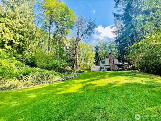 Large, long, lush yard has been well-cared for. the brush greens up every spring and creates a lovely backdrop for the yard. Trees were planted a couple of years ago for a privacy screen and will continue to grow up and create that.