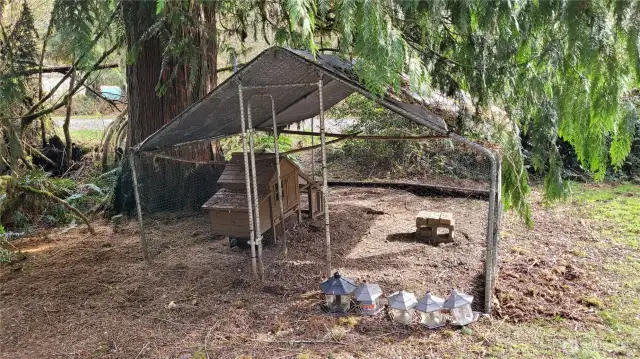 Chicken Run
