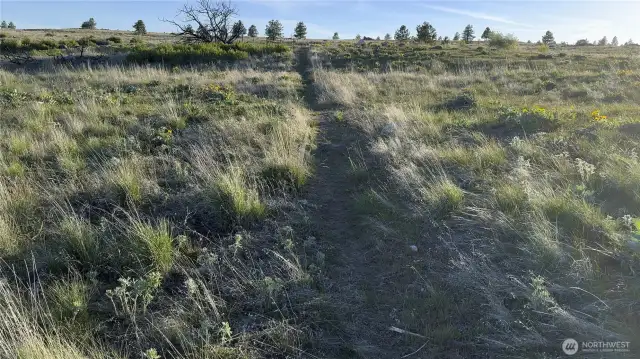 Carve your own hiking trails in your own private park.