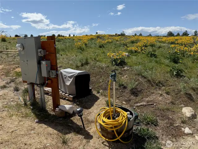 Whole-house generator inlet keeps everything running in emergencies.