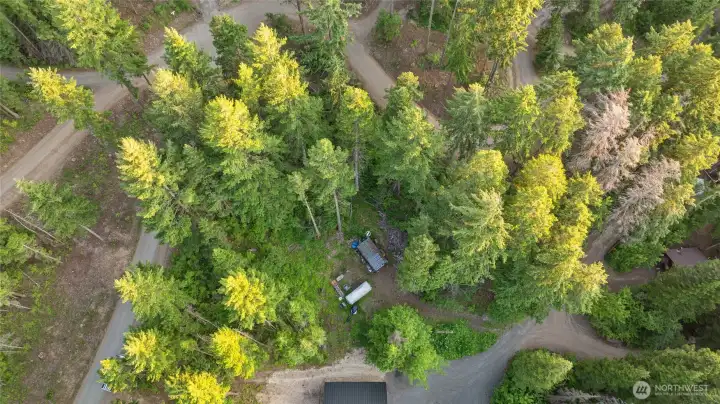 Great corner lot nice tucked away