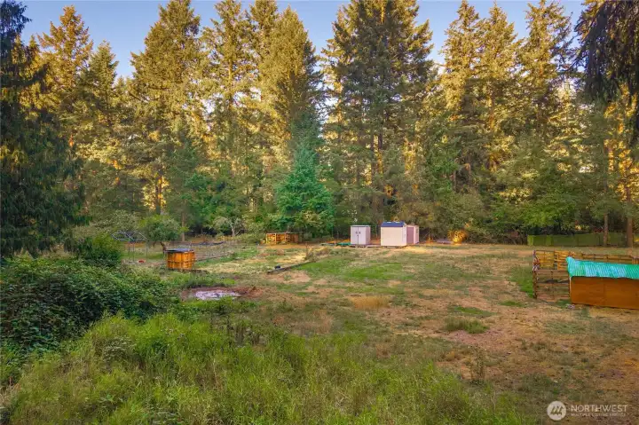 Overview of the back of the property; baby chick coop with heat lamp, chick coop, sheep pen, and garden