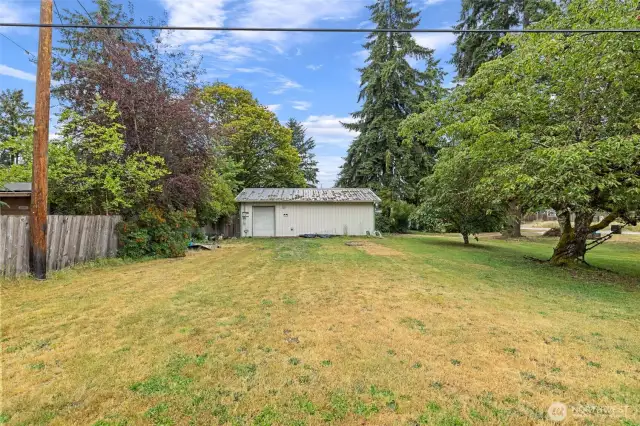 Huge lot with mature landscaping and fruit trees