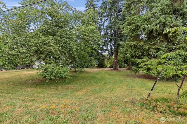 Huge lot with mature landscaping and fruit trees
