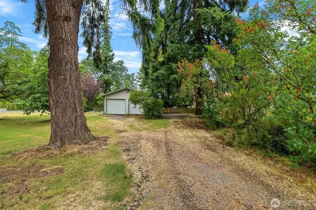 Huge lot with mature landscaping and fruit trees