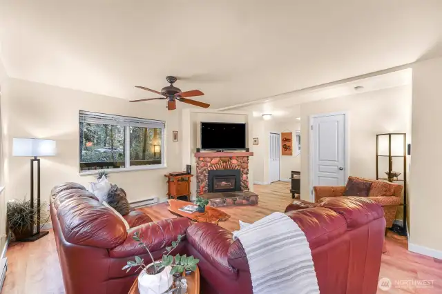 2 year old gas fireplace