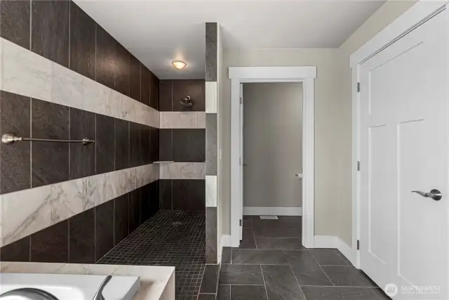 Primary Shower