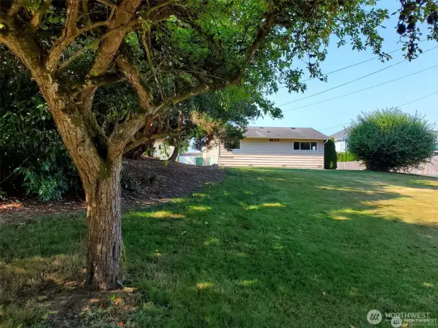 Side view of back yard and home