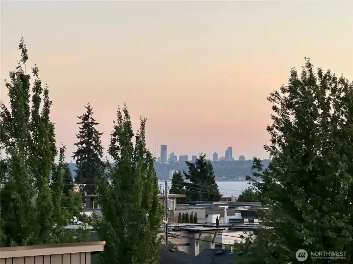 View of Seattle from Primary