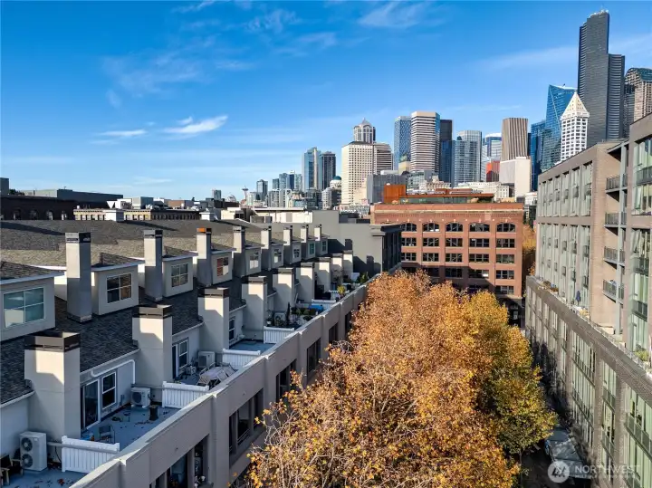 Back of Building (on the left) looking north