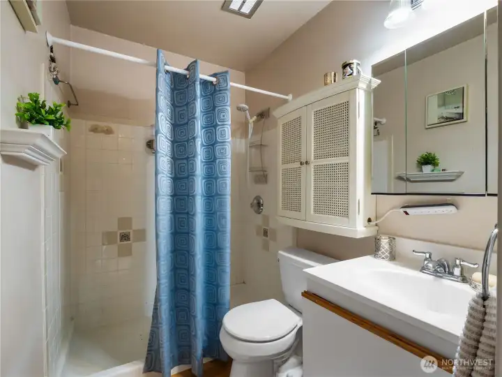The bathroom has storage under the sink and extra behind the mirror and above the toilet.