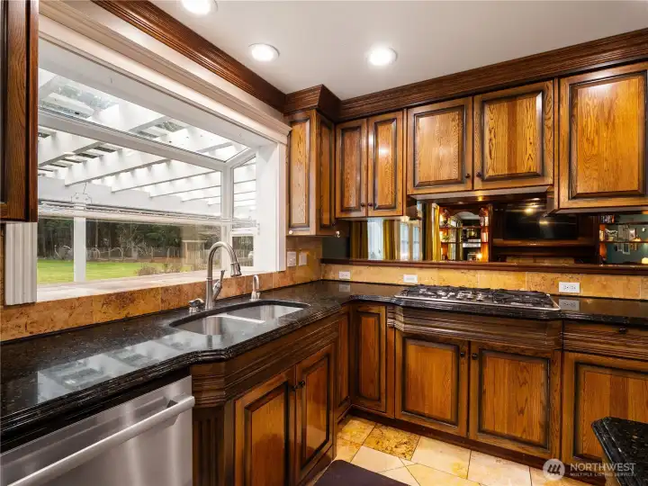 backyard view from kitchen window