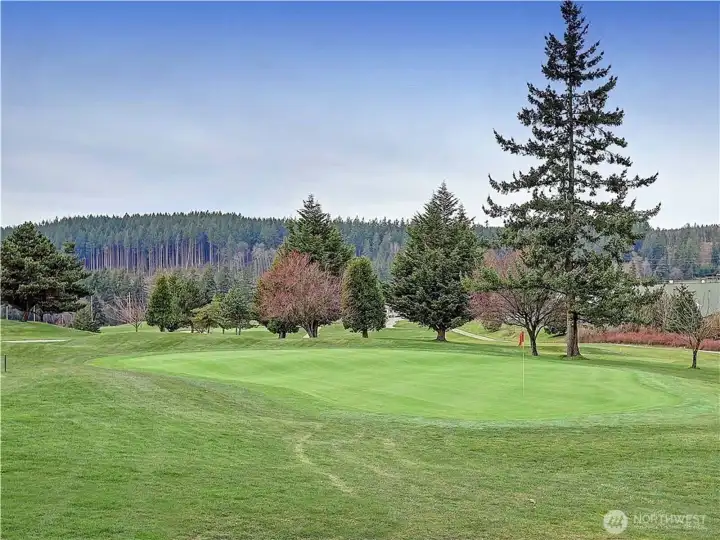 Year-Round Golf, Popular w/ Seattle winter players for the dry Greens on Drive-On Camano Island~