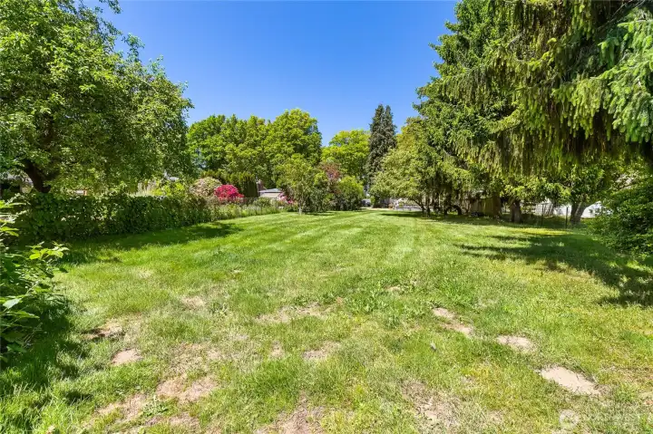 The yard is deep and lots of greenery. The yard is deep and lots of greenery.