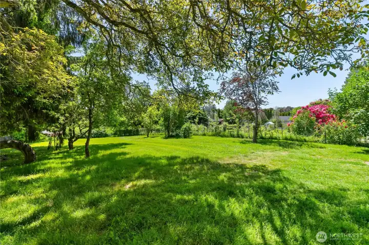 Plant a garden, fruit trees and enjoy the peaceful back yard. Plant a garden, fruit trees and enjoy the peaceful back yard.