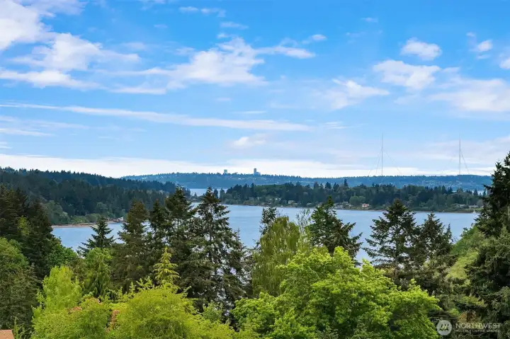 The Seattle skyline in the distance - across the Portage isthmus to Maury Island.