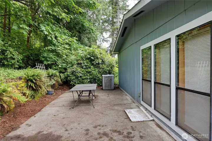 Private back patio for entertaining Private back patio for entertaining