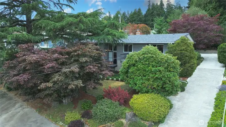 Mature landscaping and an extended driveway create an impressive arrival, leading to a secluded detached two-car garage with ample additional parking. Mature landscaping and an extended driveway create an impressive arrival, leading to a secluded detached two-car garage with ample additional parking.