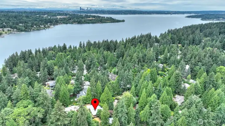 Close to lake Washington