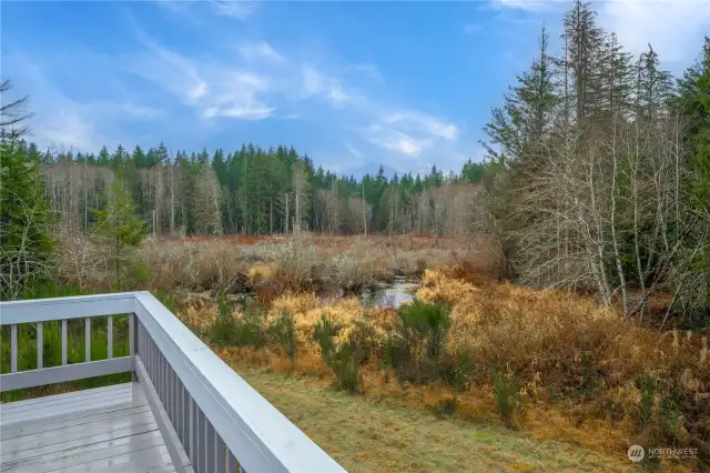 Overlooks neighboring pond