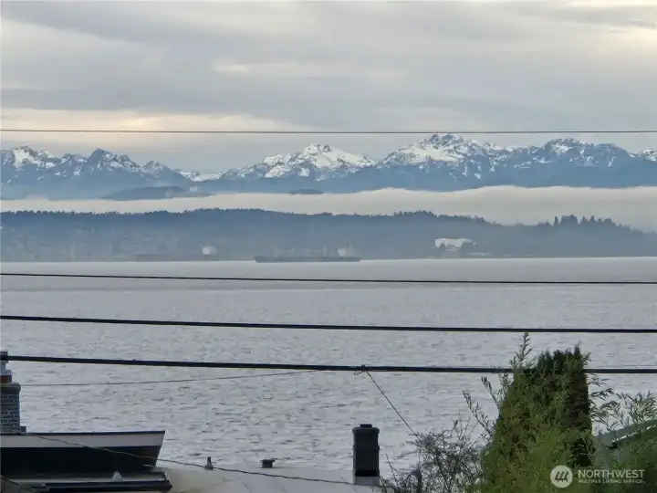Ships anchored in Puget Sound awaiting off loading