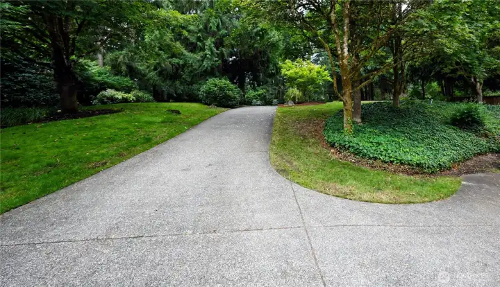 Tree lined driveway