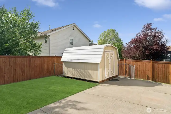 Shed for convenient storage