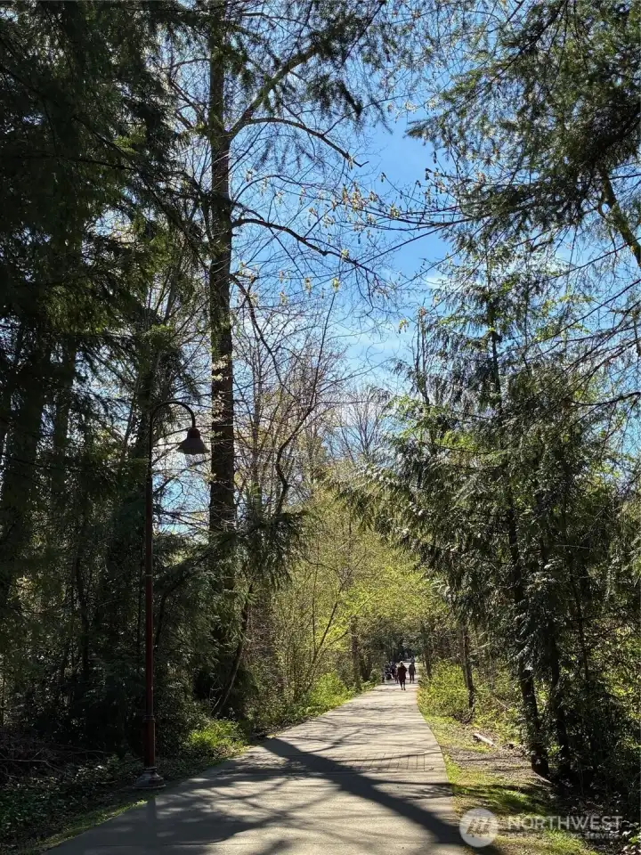 Rainier Trail adjoins Property-2.5 mile walking trail that connects to area trails Rainier Trail adjoins Property-2.5 mile walking trail that connects to area trails