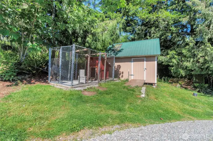 Shed & dog kennel
