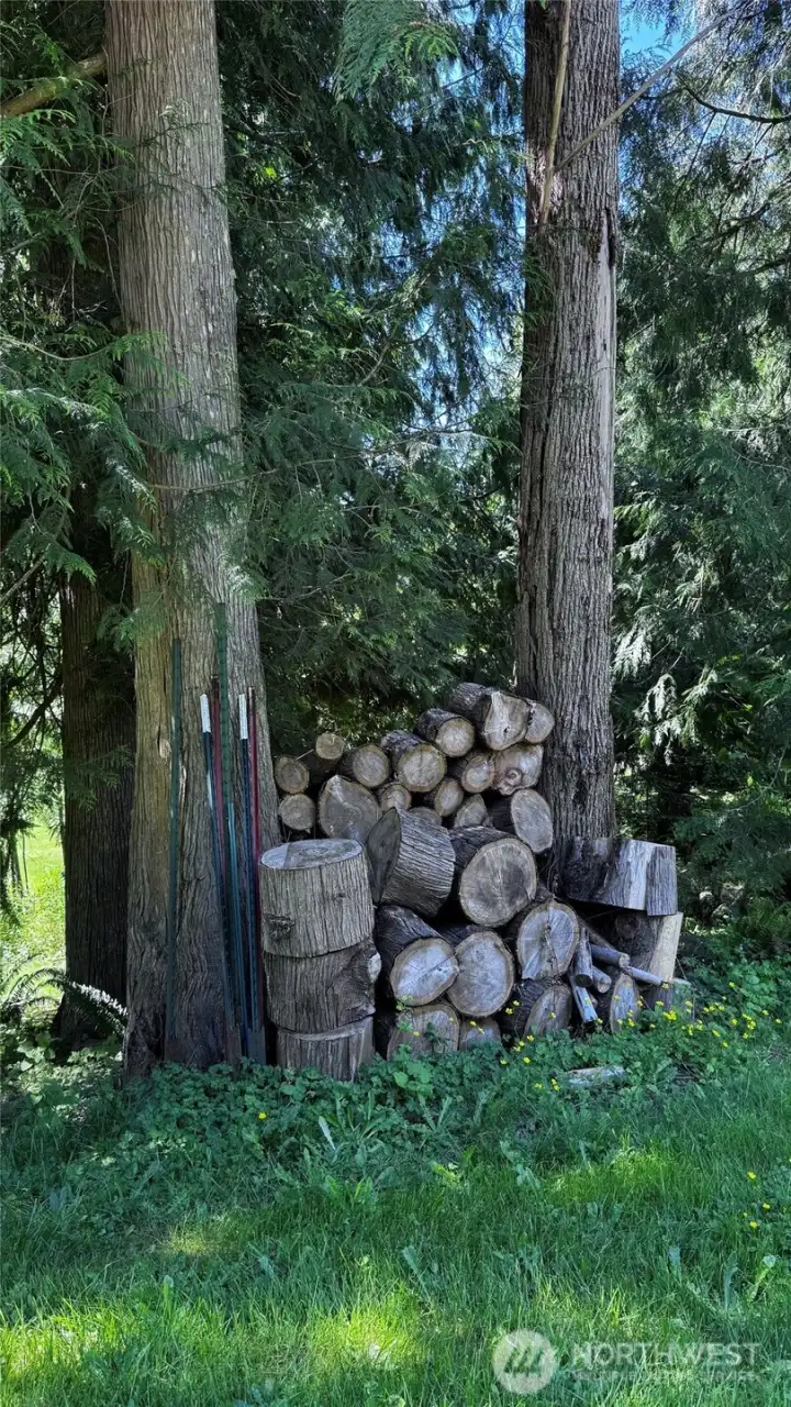 Wood for roasting marshmallow over the fire pit.