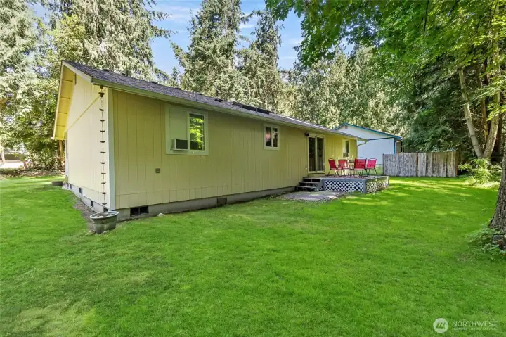 Back Yard