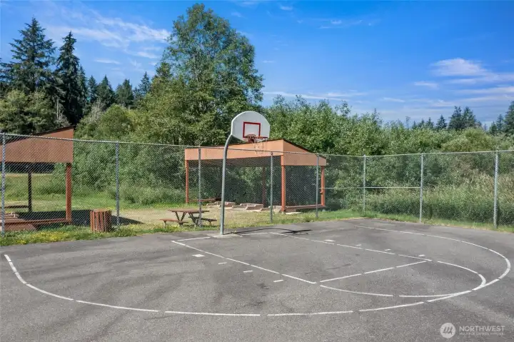 Basketball Court