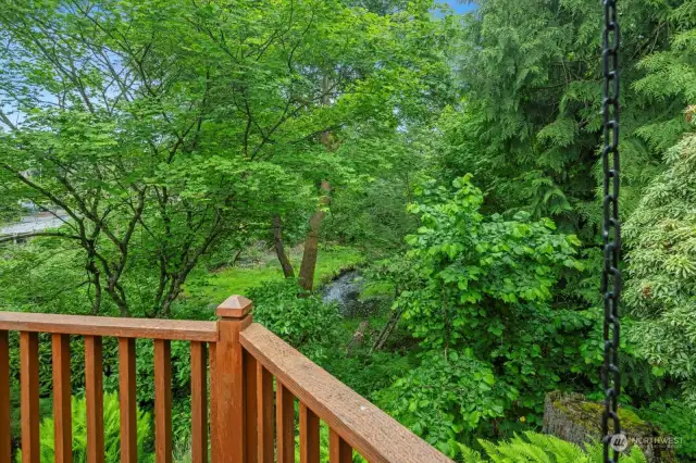 Another view of the creek from the deck.