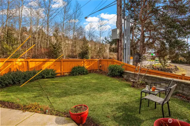 Fenced yard with territorial views.