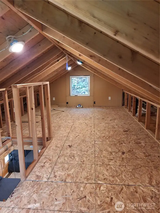 Another view of the attic