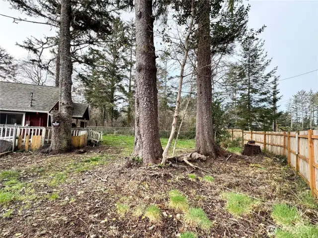 front side yard