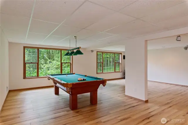 Lower level rec room with gas fireplace.  Vinyl flooring.  Room is very spacious.