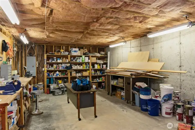 Unfinished storage/work shop with shelving.